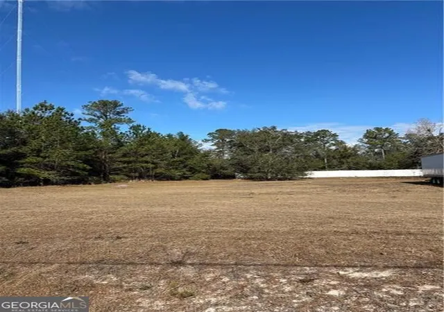 Photo 1 of Land for sale at 0 Shellman Blf Rd, Townsend, GA 31331 | MLS# 10828882 | Listing updated on 2026-09-02