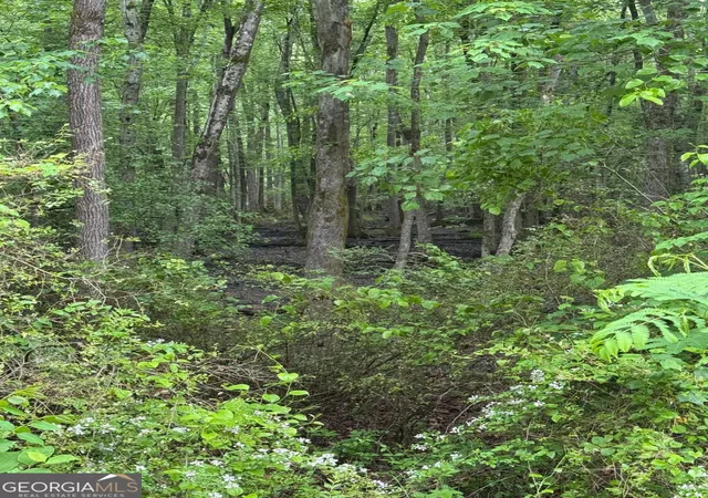 Photo 3 of Land for sale at 0 Friendship Church Rd Sw, Powder Springs, GA 30127 | MLS# 10510108 | Listing updated on 2026-08-27