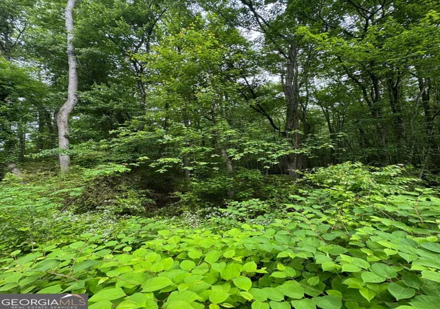 Photo 3 of Land for sale at 0 Friendship Church Rd Sw, Powder Springs, GA 30127 | MLS# 10510108 | Listing updated on 2026-10-09
