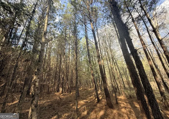 37th image of 13 Hollis Norman Rd, Washington, GA 30673 | MLS# 10832050