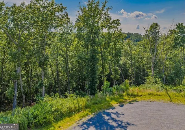 Photo 2 of Land for sale at Lot 84 High Summit Dr #84, Talking Rock, GA 30175 | MLS# 10830277 | Listing updated on 2026-09-04
