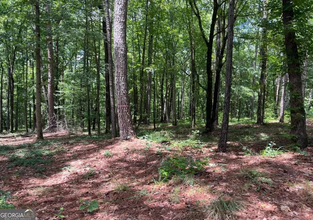 2nd image of Lots 1 & 2 Pullman Ln, Greensboro, GA 30642 | MLS# 10790607