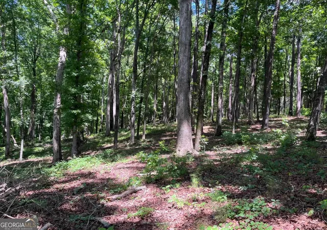 3rd image of Lots 1 & 2 Pullman Ln, Greensboro, GA 30642 | MLS# 10790607