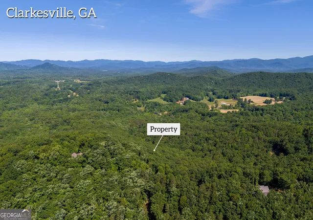 5th image of 5012 Alec Mountain Rd, Clarkesville, GA 30523 | MLS# 10310755