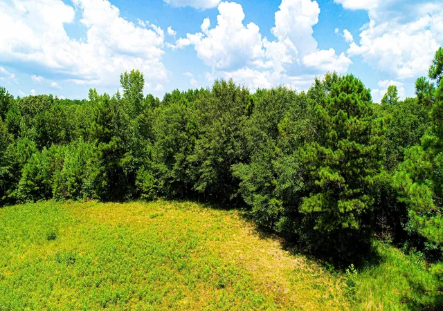 9th image of 4444 Rea Lagrange Hwy, Greenville, GA 30222 | MLS# 20138028