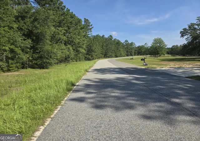 9th image of 0 Live Oak Dr, Swainsboro, GA 30401 | MLS# 10799966