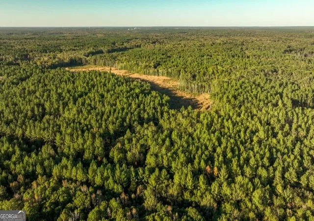 Homes for sale in Millen, GA | 0 Scarboro Landing Rd #TRACT 1, Millen, GA 30442 | MLS# 10786229