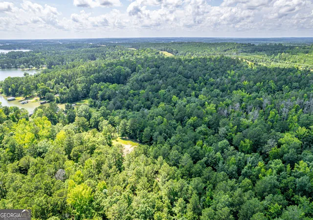2nd image of 0 Pine Lake Dr, Sparta, GA 31087 | MLS# 10818202