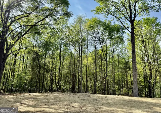 Homes for sale in Maysville, GA | 921 Silver Dollar Rd, Maysville, GA 30558 | MLS# 10728850