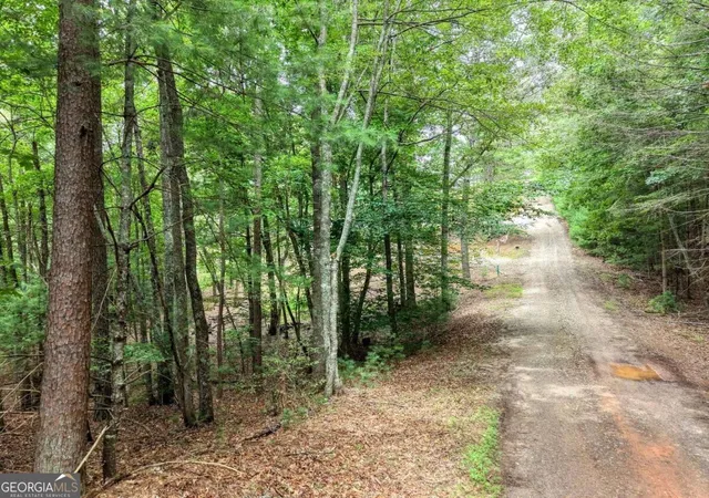 Photo 1 of Land for sale at 155 Atkins Trl, Blairsville, GA 30512 | MLS# 10874451 | Listing updated on 2026-10-30