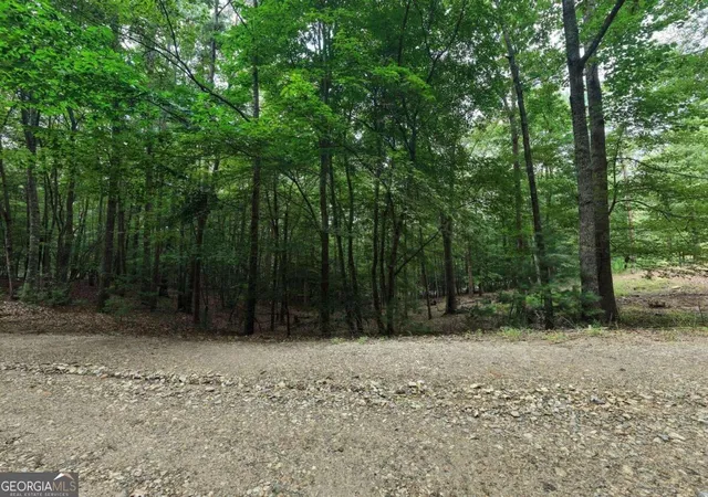 Photo 2 of Land for sale at 155 Atkins Trl, Blairsville, GA 30512 | MLS# 10874451 | Listing updated on 2026-10-30