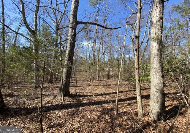 Photo 1 of Land for sale at Lot 6 Majestic Shrs Rd, Hartwell, GA 30643 | MLS# 10467615 | Listing updated on 2026-02-27