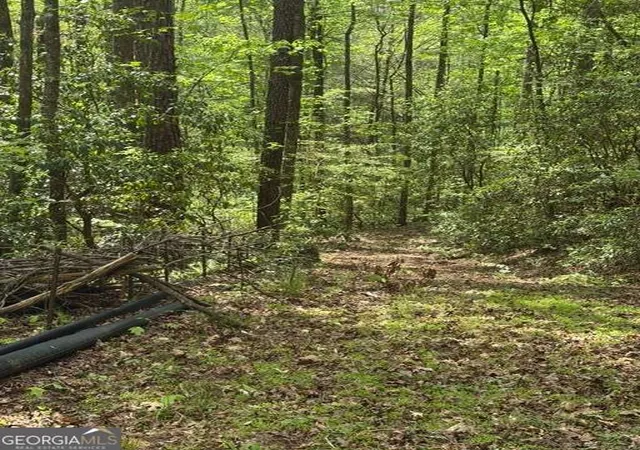 Photo 1 of Land for sale at 348 Hemlock Trl, Ellijay, GA 30540 | MLS# 10738214 | Listing updated on 2026-07-17