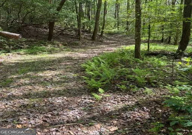 Photo 2 of Land for sale at 348 Hemlock Trl, Ellijay, GA 30540 | MLS# 10738214 | Listing updated on 2026-07-17