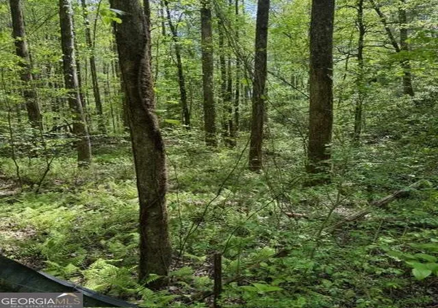 Photo 38 of Land for sale at 348 Hemlock Trl, Ellijay, GA 30540 | MLS# 10738214 | Listing updated on 2026-07-17