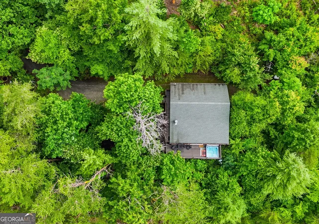 32nd image of 216 Laurel Creek Rd, Blue Ridge, GA 30513 | MLS# 10784920