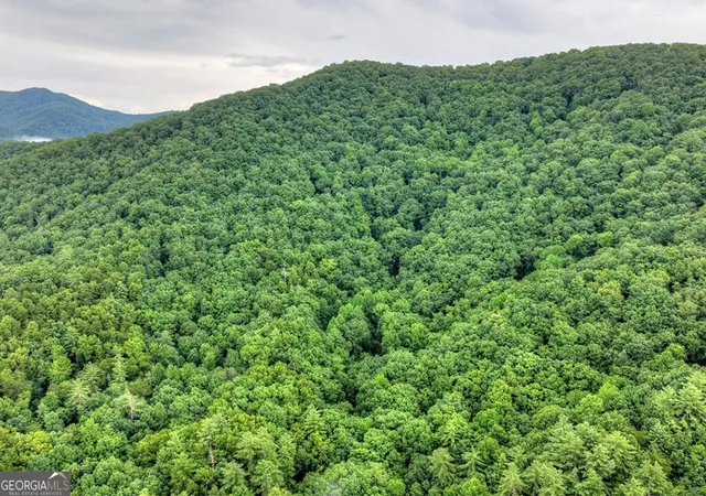 Photo 2 of Land for sale at 1138 Douglas Mountain Trl, Ellijay, GA 30540 | MLS# 10816288 | Listing updated on 2026-08-14