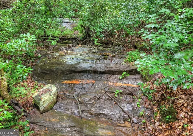 Photo 4 of Land for sale at 1138 Douglas Mountain Trl, Ellijay, GA 30540 | MLS# 10816288 | Listing updated on 2026-08-14