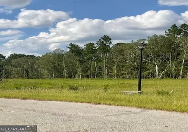 1st image of 0 Colt Court, Vidalia, GA 30474 | MLS# 10829685