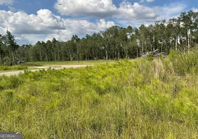 4th image of 0 Colt Court, Vidalia, GA 30474 | MLS# 10829685