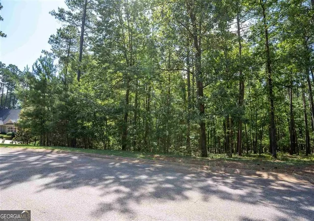 2nd image of 2111 Armors Frd, Greensboro, GA 30642 | MLS# 10782101