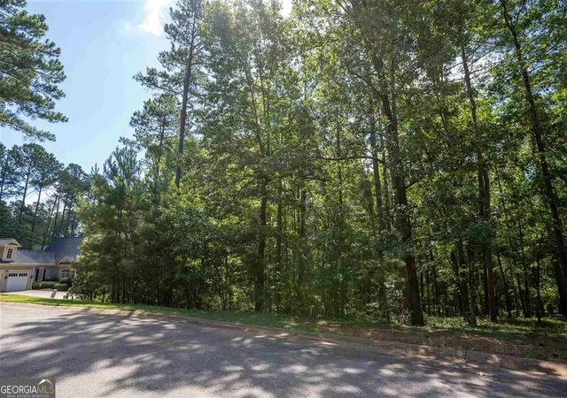 3rd image of 2111 Armors Frd, Greensboro, GA 30642 | MLS# 10782101