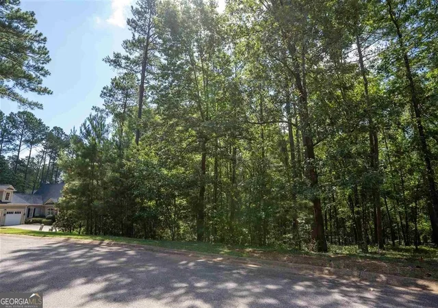 4th image of 2111 Armors Frd, Greensboro, GA 30642 | MLS# 10782101