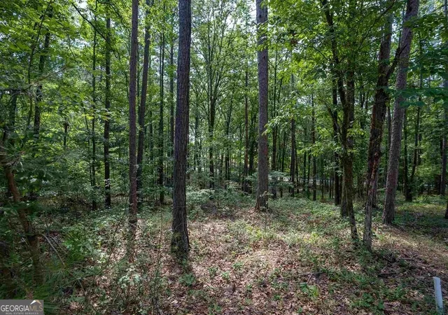 5th image of 2111 Armors Frd, Greensboro, GA 30642 | MLS# 10782101