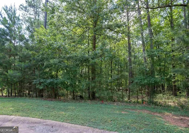 6th image of 2111 Armors Frd, Greensboro, GA 30642 | MLS# 10782101