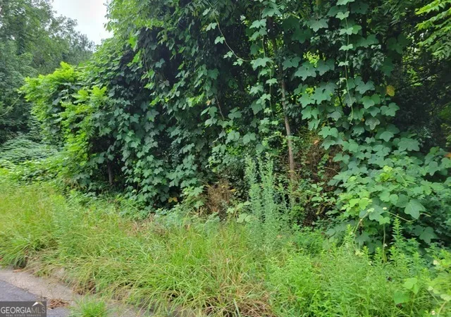 1st image of 1036 Walnut Creek Ln, Jonesboro, GA 30238 | MLS# 10776982