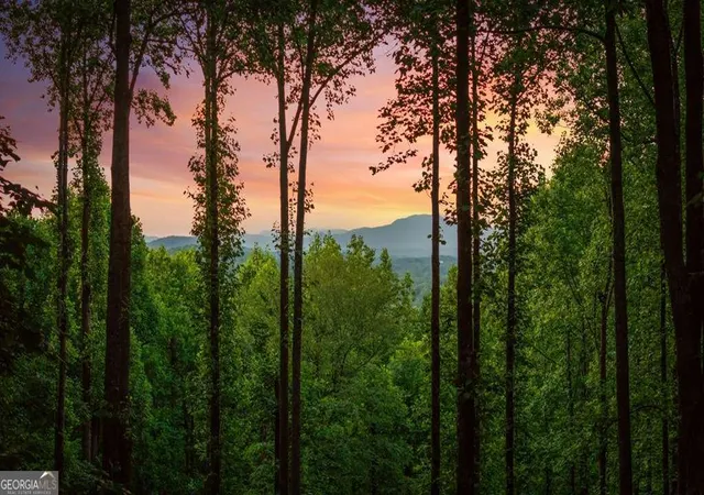 2nd image of 391 Little Bushy Head Rd, Blue Ridge, GA 30513 | MLS# 10783378
