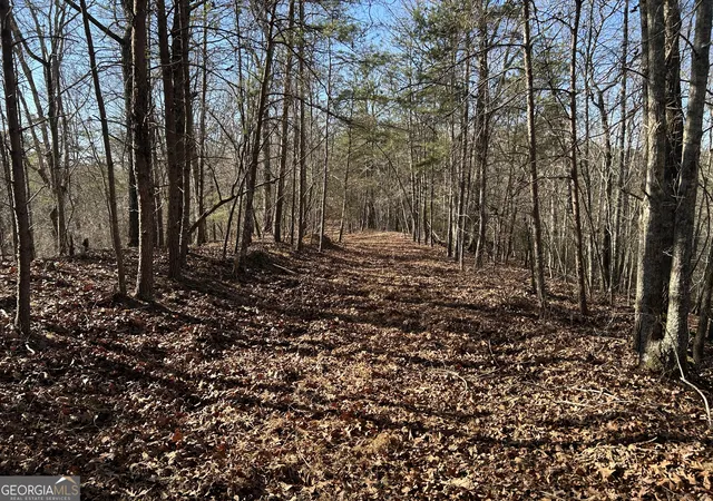 2nd image of 00 Twin River Orchard Rd #TRACT 1, Demorest, GA 30535 | MLS# 10663772