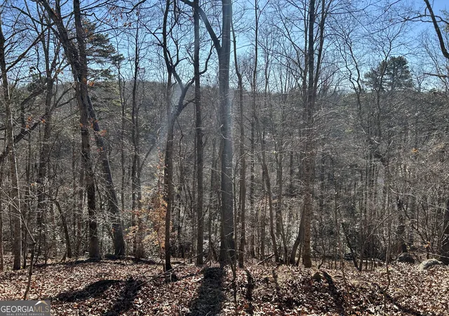 Photo 3 of Land for sale at 0 Twin River Orchard Rd, Demorest, GA 30535 | MLS# 10663772 | Listing updated on 2026-06-25