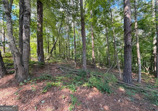 3rd image of 1306 Southgate Dr, Villa Rica, GA 30180 | MLS# 10779119