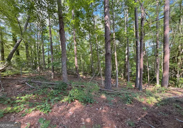 4th image of 1306 Southgate Dr, Villa Rica, GA 30180 | MLS# 10779119