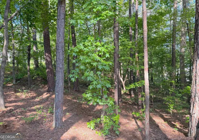 5th image of 1306 Southgate Dr, Villa Rica, GA 30180 | MLS# 10779119
