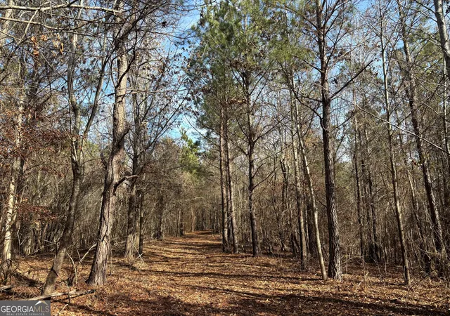Photo 15 of Land for sale at 6411 Columbus Rd, Lizella, GA 31052 | MLS# 10684110 | Listing updated on 2026-08-29