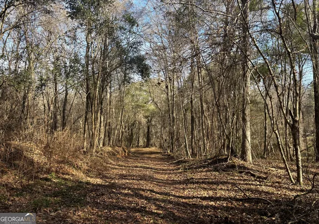2nd image of 6411 Columbus Rd, Lizella, GA 31052 | MLS# 10684110