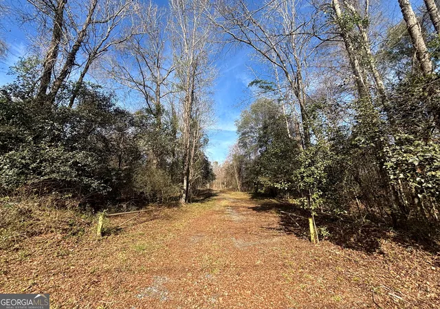 Photo 3 of Land for sale at 6411 Columbus Rd, Lizella, GA 31052 | MLS# 10684110 | Listing updated on 2026-08-29