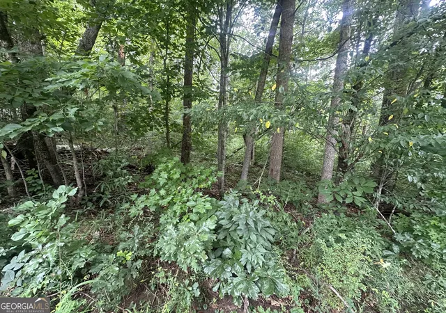 1st image of 5281 N Forest Blvd, Gainesville, GA 30506 | MLS# 10805556