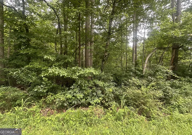 2nd image of 5281 N Forest Blvd, Gainesville, GA 30506 | MLS# 10805556
