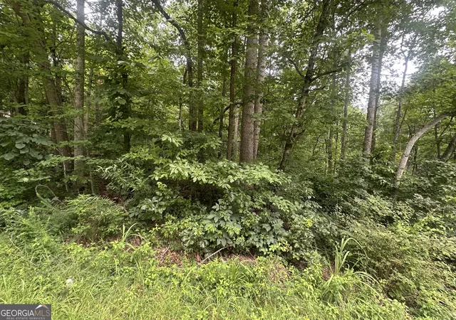 3rd image of 5281 N Forest Blvd, Gainesville, GA 30506 | MLS# 10805556