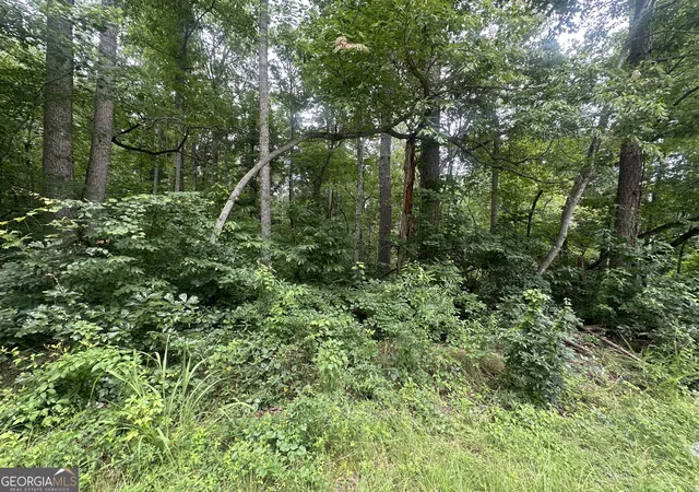 4th image of 5281 N Forest Blvd, Gainesville, GA 30506 | MLS# 10805556