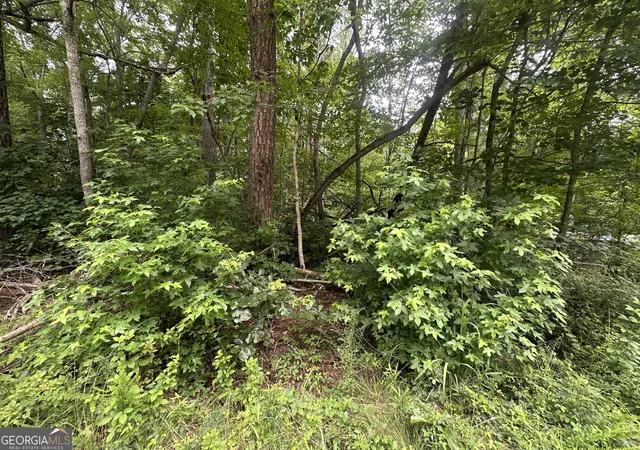 5th image of 5281 N Forest Blvd, Gainesville, GA 30506 | MLS# 10805556