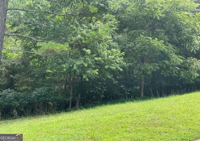 3rd image of Lot 1 Pinehurst #1, Blairsville, GA 30512 | MLS# 10805998