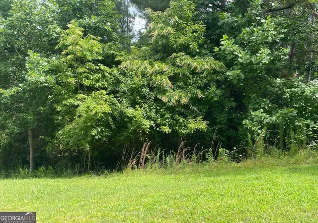 4th image of Lot 1 Pinehurst #1, Blairsville, GA 30512 | MLS# 10805998