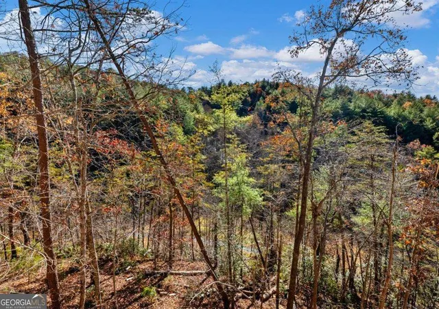Homes for sale in Helen, GA | 150 Alte Bruecke Strasse, Helen, GA 30545 | MLS# 10776685