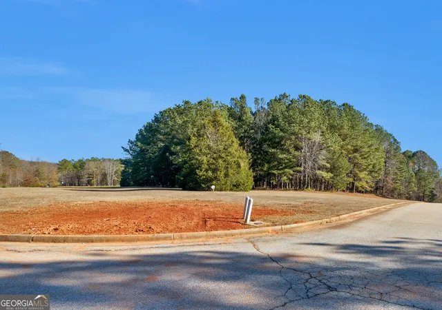 3rd image of 346 Tussahaw Trl, Jackson, GA 30233 | MLS# 10816630