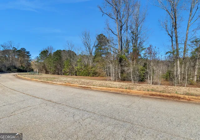 4th image of 346 Tussahaw Trl, Jackson, GA 30233 | MLS# 10816630