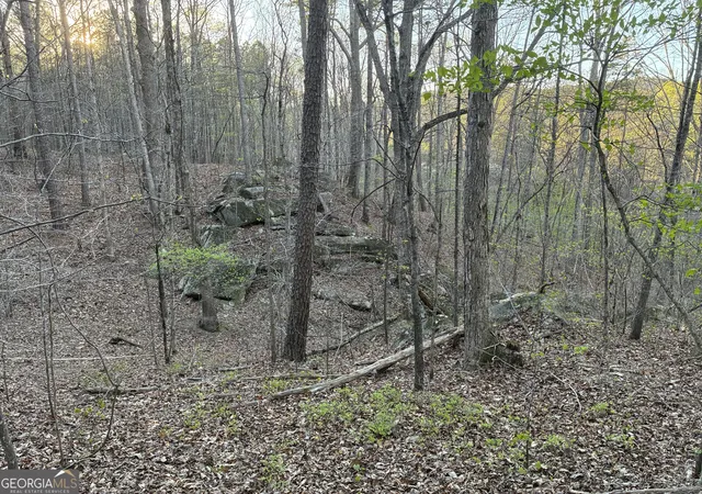 24th image of 2600 Mcpherson Church Rd, Dallas, GA 30132 | MLS# 10718728